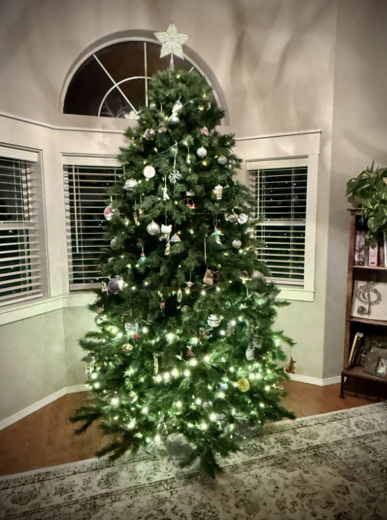 Gabe and Blair O’Reilly set up their Christmas tree the week after Thanksgiving on Friday, December 6th. The Christmas tree was set up that day because that was when all the family was there. 